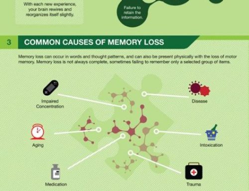 Infographic: How memory works