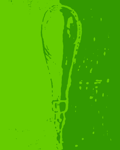 bg_linoschnitt_groen@2x